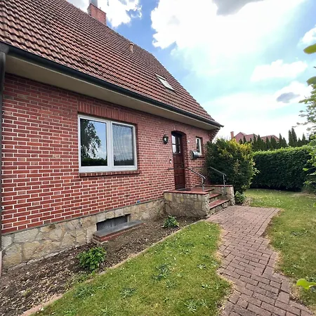 Almir * Haselünne